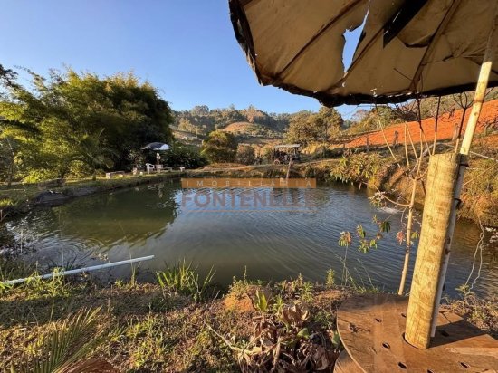 chacara-venda-toledo-mg-1081161