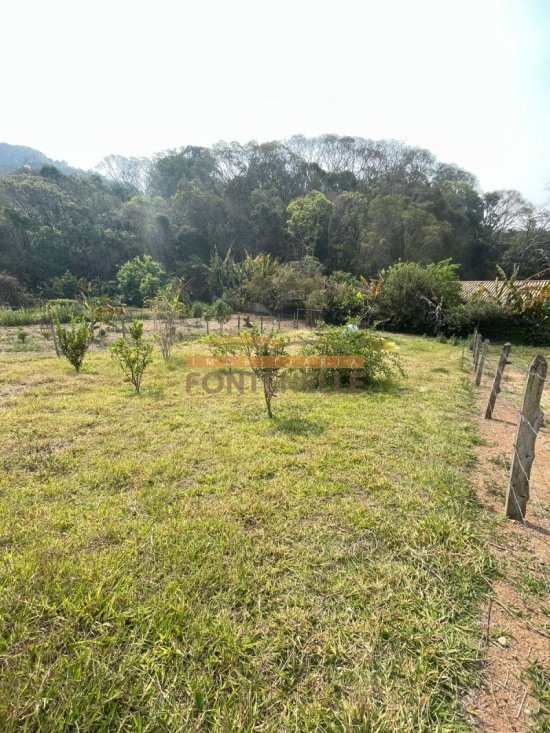 terreno-venda-braiszinho-913767