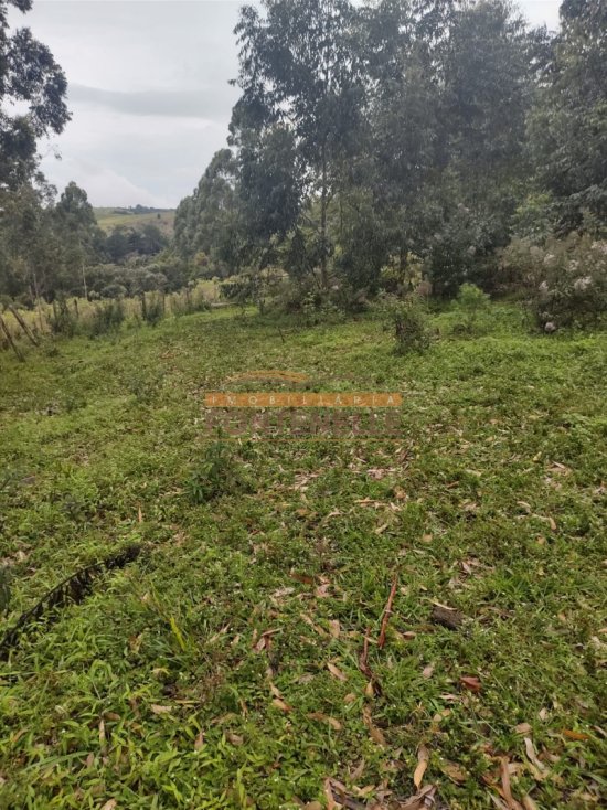 terreno-venda-munhoz-ribeirao-preto-1014194