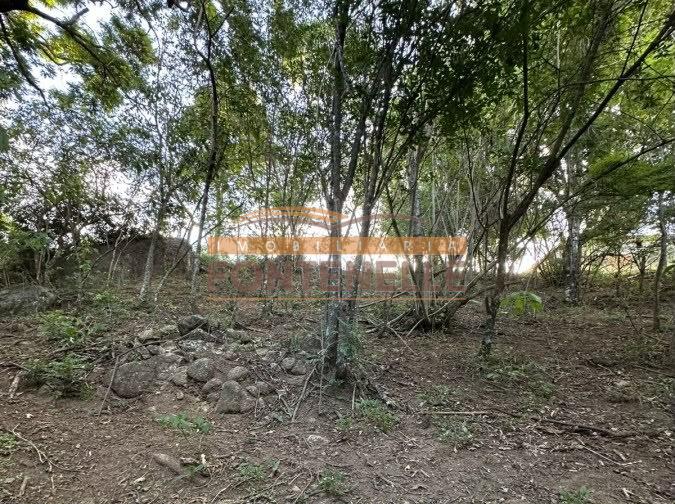 chacara-venda-toledo-mg-1127787