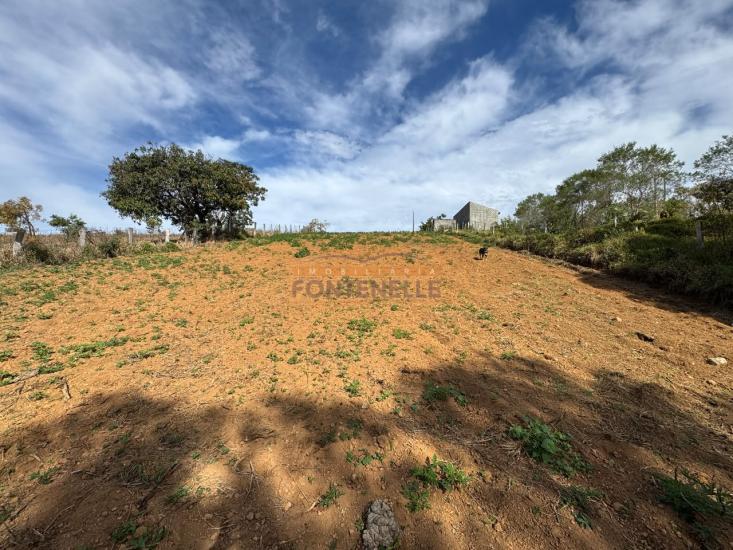 chacara-venda-toledo-mg-1127791