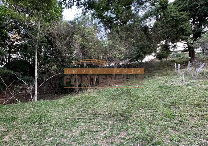 chacara-venda-toledo-mg-1127792