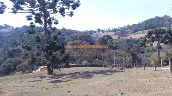 terreno-venda-camanducaia-mg-390398