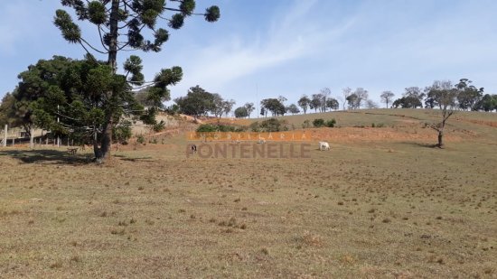 terreno-venda-camanducaia-mg-390402