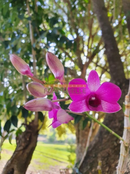 chacara-venda-extrema-mg-1088384