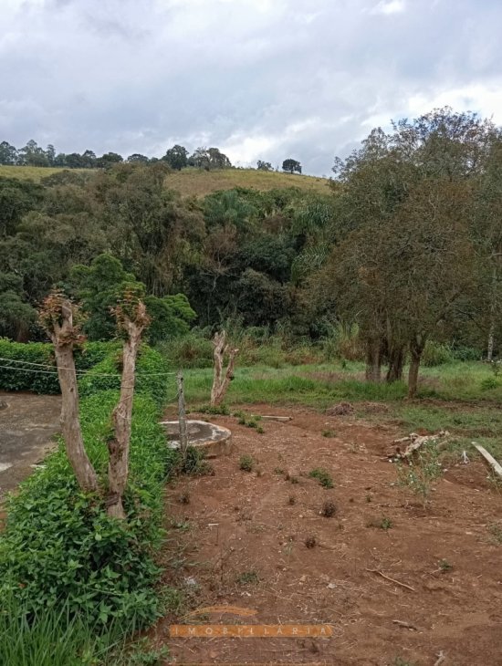 chacara-aluguel-pedrosos-tenentes-874557