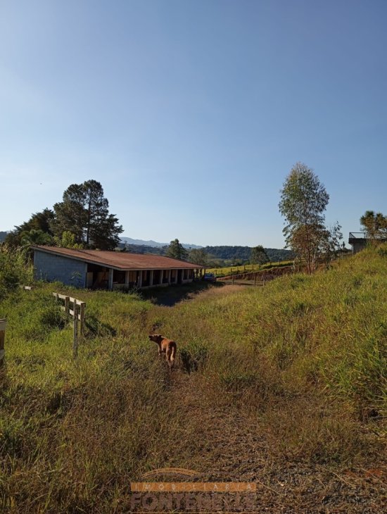 fazenda-venda-prox-juncal-874759