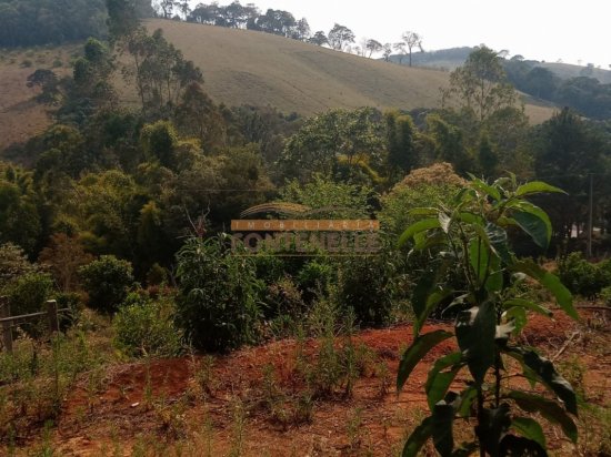 chacara-venda-camanducaia-mg-235618