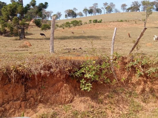 terreno-venda-camanducaia-mg-235622