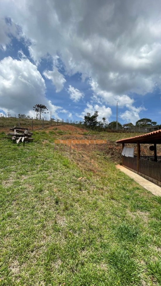 chacara-venda-toledo-mg-1083634