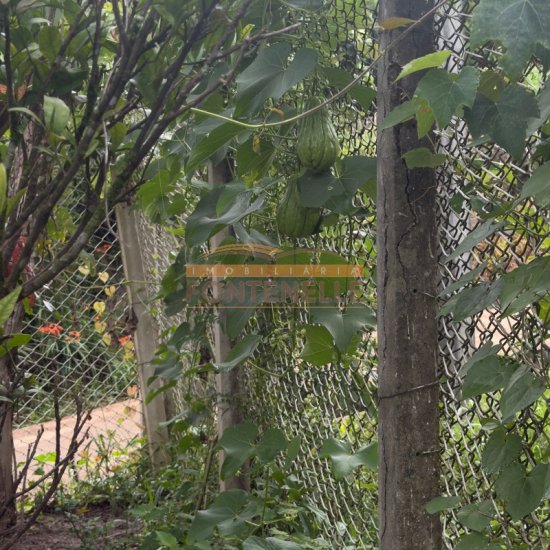 chacara-venda-bairro-campo-dos-raposos-corrego-do-bom-jesus-mg-1083656