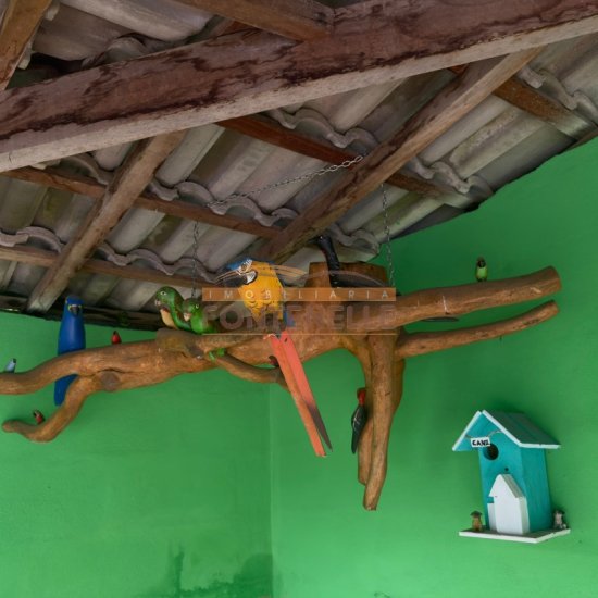 chacara-venda-bairro-campo-dos-raposos-corrego-do-bom-jesus-mg-1083648