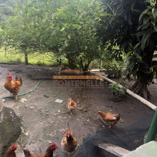 chacara-venda-bairro-campo-dos-raposos-corrego-do-bom-jesus-mg-1083651