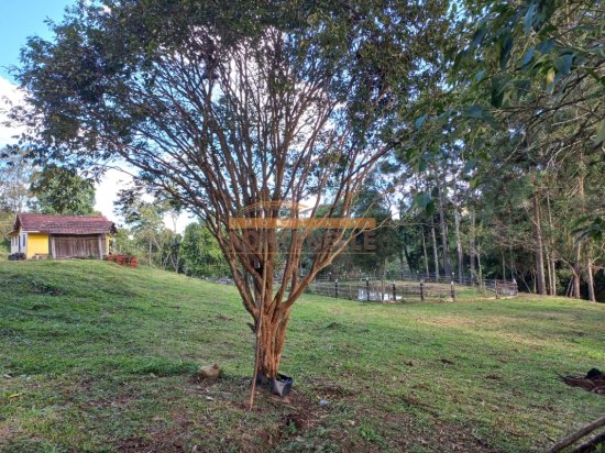 chacara-venda-extrema-mg-1090860