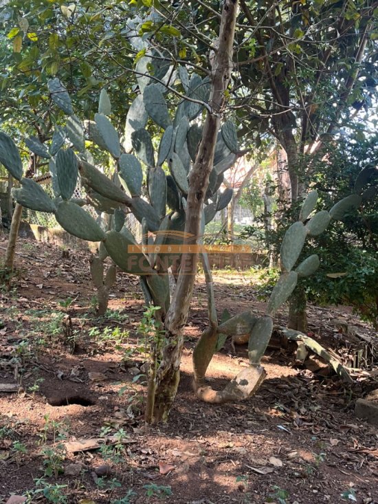 chacara-venda-juncal-1029237