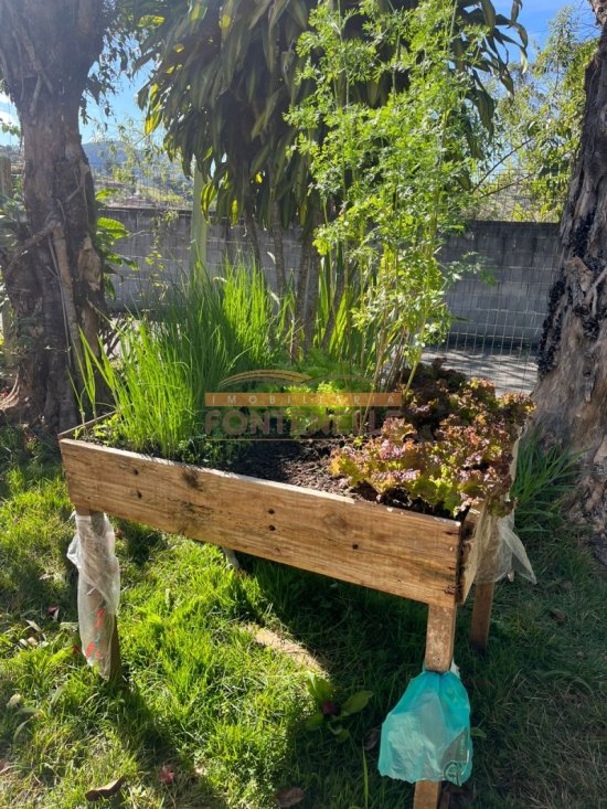 chacara-venda-juncal-1029228