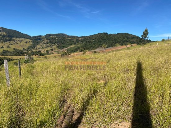 terreno-venda-toledo-1029264