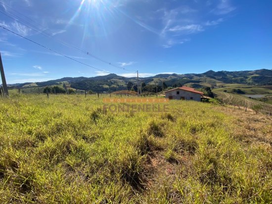 terreno-venda-toledo-1029257