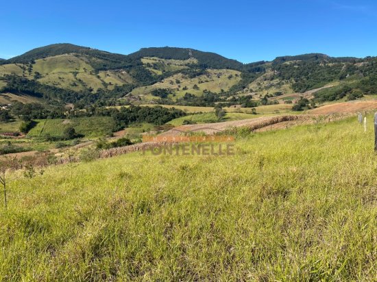 terreno-venda-toledo-1029259