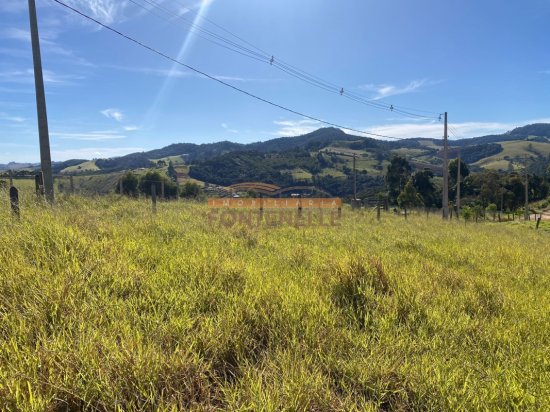 terreno-venda-toledo-1029260