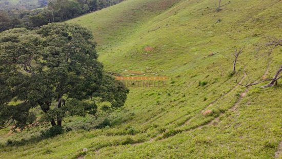 terreno-venda-salto-de-baixo-957104